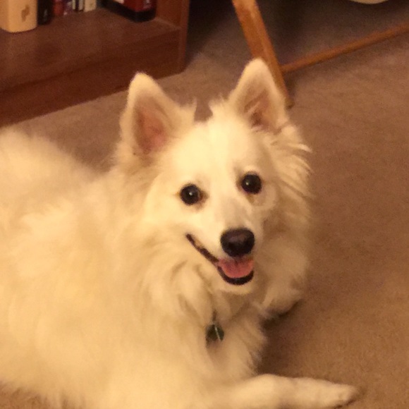 Welcome to my Closet! - Picture 3 of 4